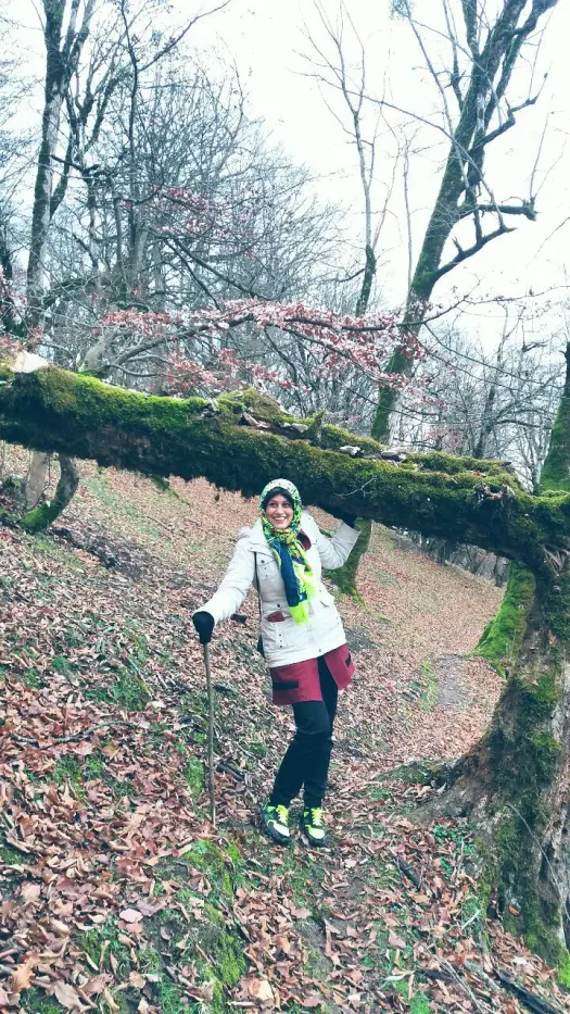 Fantastic Story Of Seeing Leaf Veins | The Wonderful World!