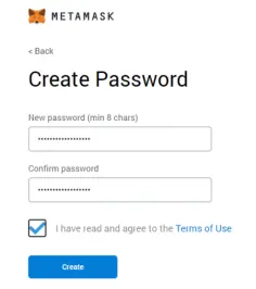 Metamask pasword