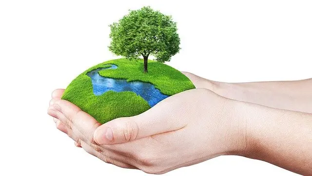 Hands holding grassy section of earth with tree and river