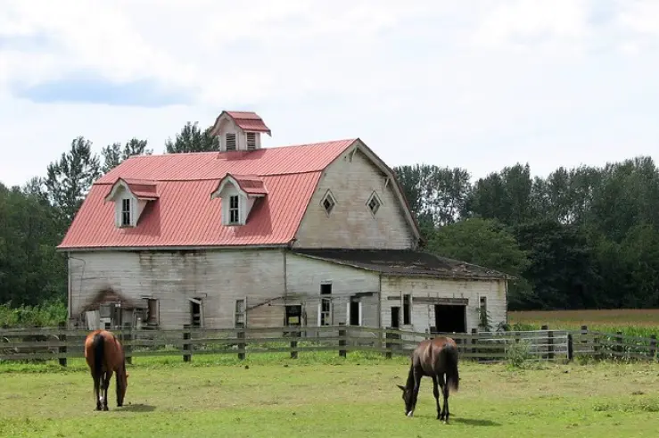 The farm