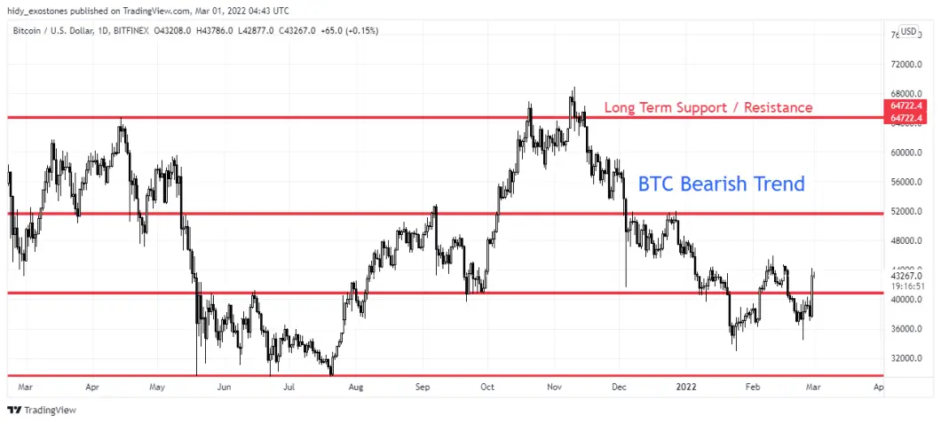 D BTC