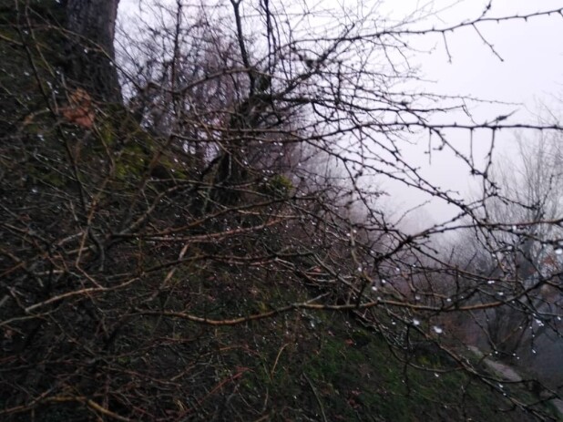 Night Hiking, Watching The Fog Drops | A Captivating Experience