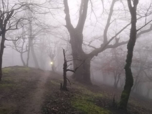Night Hiking, Watching The Fog Drops | A Captivating Experience