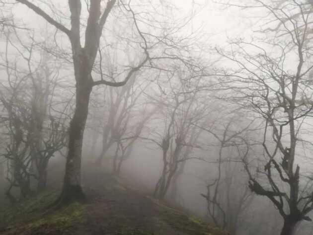 Night Hiking, Watching The Fog Drops | A Captivating Experience