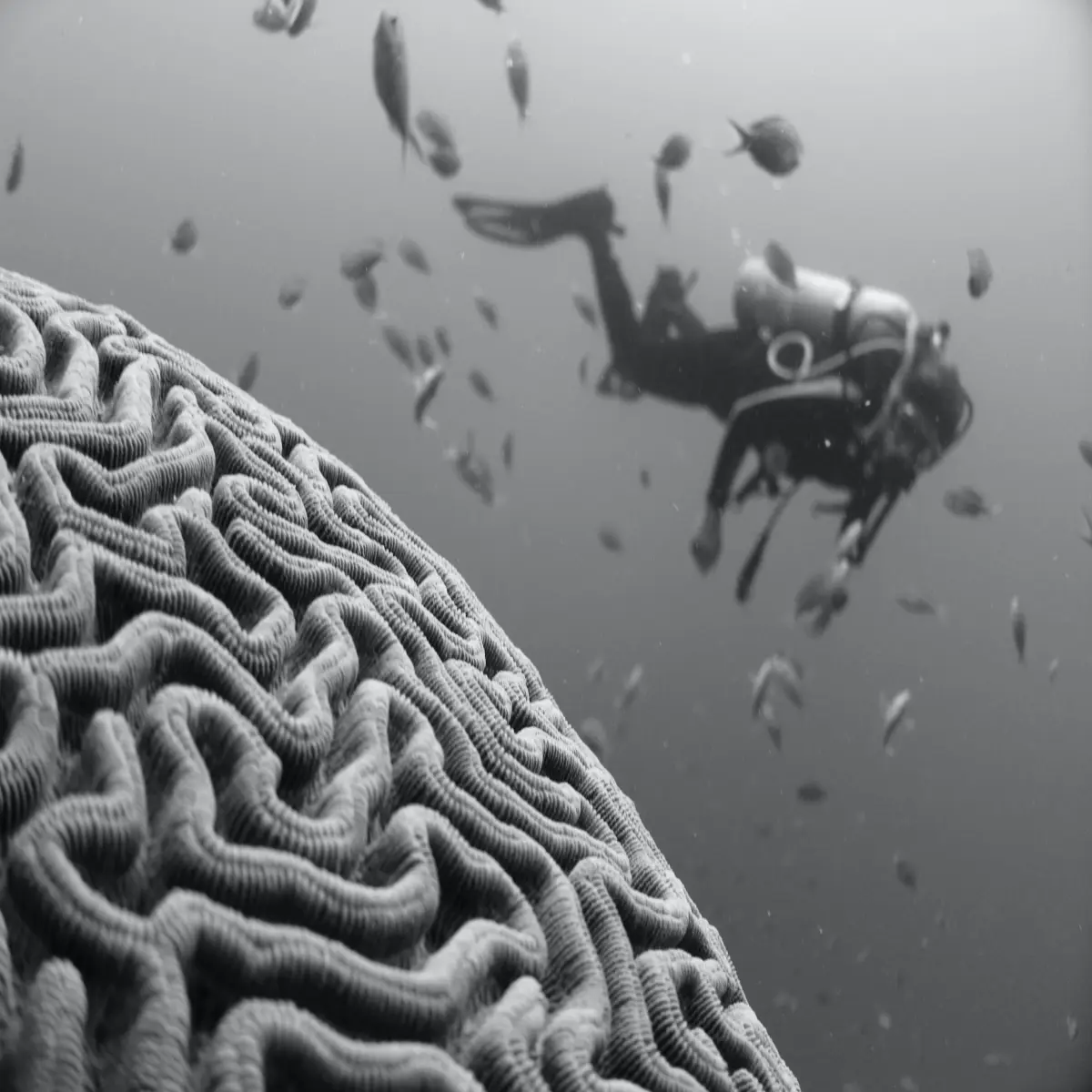6543443f1ea01da2855c00530a097c7fefb94fa48521df74b1d8b0538b4bfb11.jpg