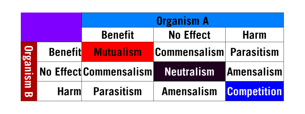Interaction Types