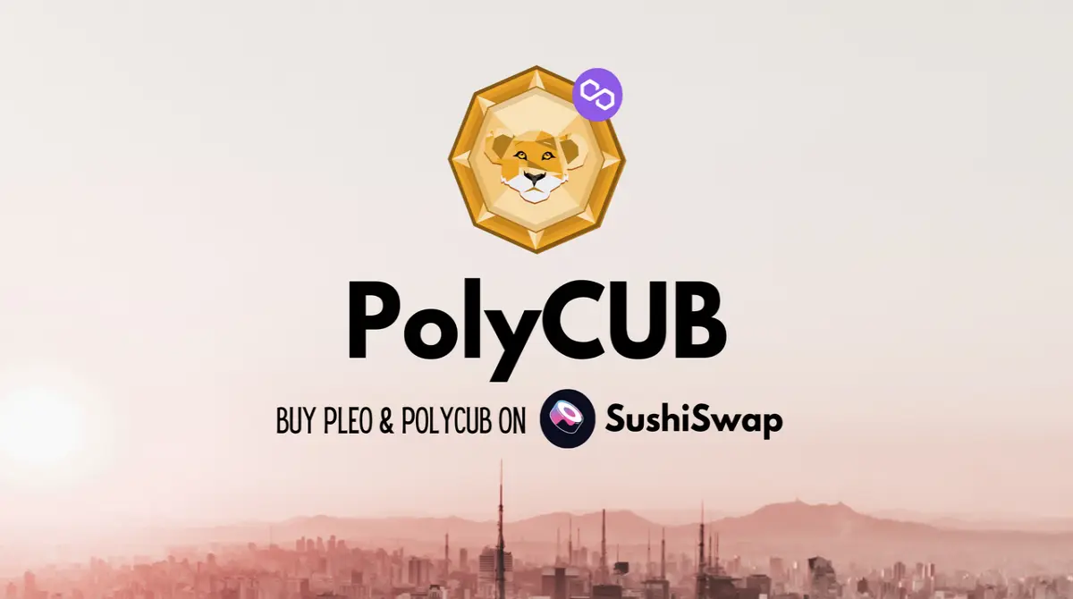 polycub art