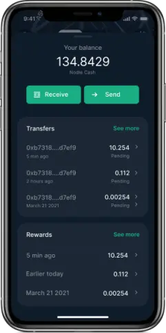 Nodle Cash App
