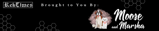 3bb14e94535f8e92634121d37f2fa464b8d02d563afe8197015364a004400bb8.png