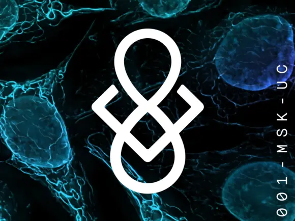 Molecule.to