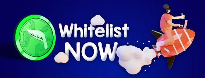 Whitelist your address now for the presale!