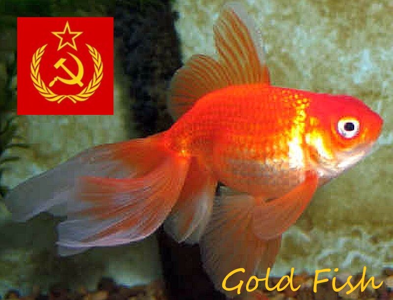 ca933d15c548b03ee125663ab84334b66b5a9b079ad6078e29b3551a8f9fb647.jpg