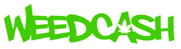 351665157-167c6ca8d9ab47985d0eea3c8ce11ca9a5434d3b1da297797e8afa45048ef09f.png