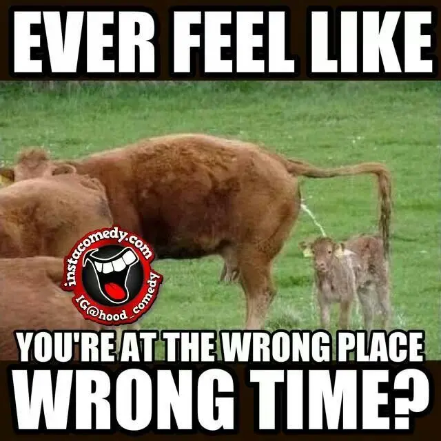4ef665696fcda81fbcc79f79a315fbdc06329d91260ca906ec96fe3e1c5f0889.jpg