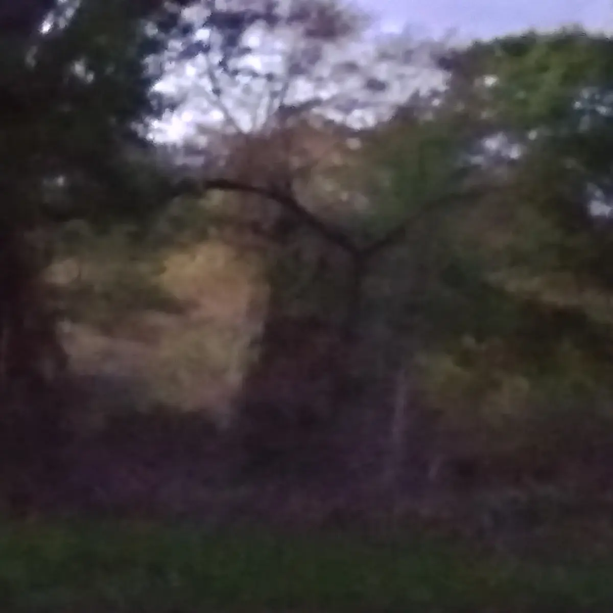 b5e8ae2b7ece3d818bcec0944ec718e52be6d9c44327ab398d23ecfb174e5994.jpg