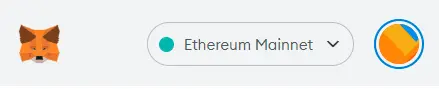Metamask Network Selector