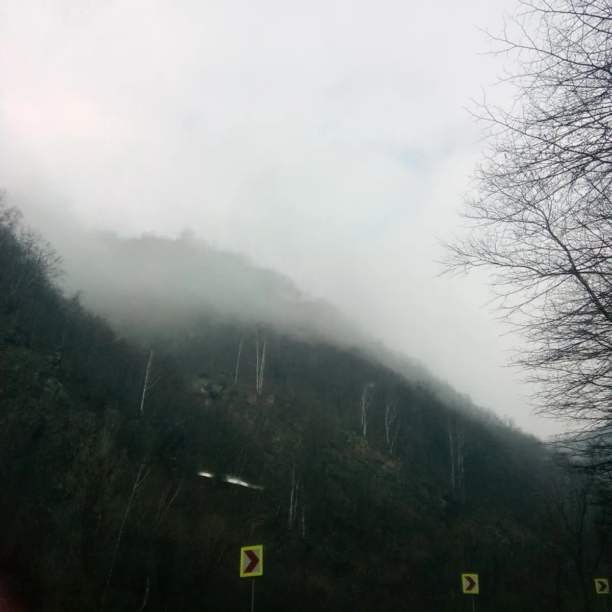 7f5d6bdefe195f73ed8432497edd873226072c1f357cf73b12bcdcda2f324464.jpg
