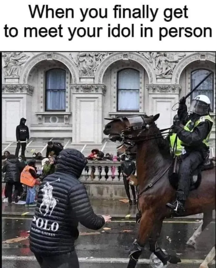 89f3ae1423017dff3d3c081872c8f707e7a159ce4054ca744e4791f3e8b8c499.jpg
