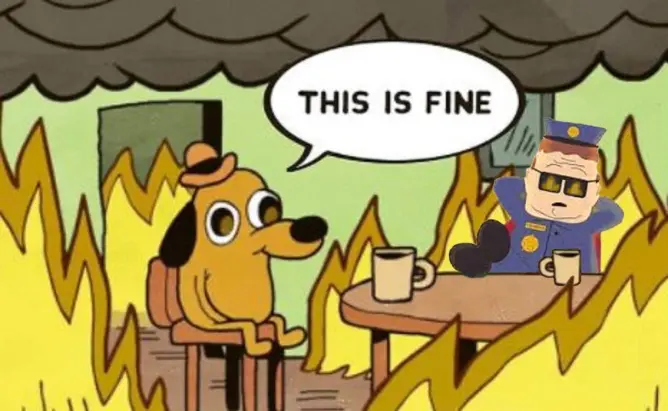 Is this fine?