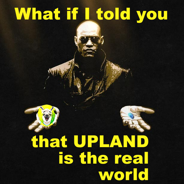 a5442ad648e6567955b9f6babbe199cb1dd4ad763fcc547076b82522c2b37012.png