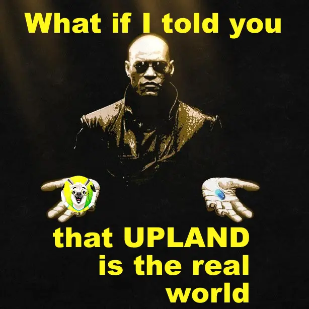 a5442ad648e6567955b9f6babbe199cb1dd4ad763fcc547076b82522c2b37012.png