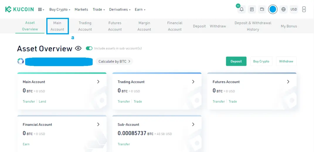 Go to Main Account