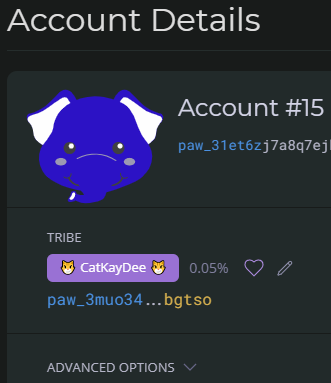 Get Account Detail