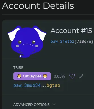 Get Account Detail