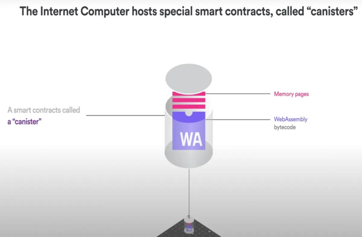 (Canister smart contracts are computational units that consist of both code and data.)