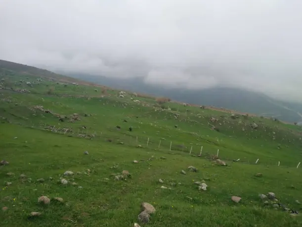 The Lush Mountains in The Outset of Spring | Iran