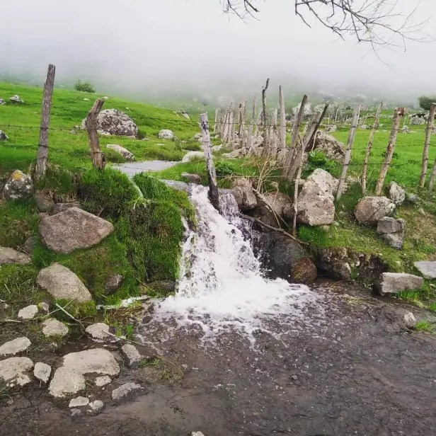 The Lush Mountains in The Outset of Spring | Iran