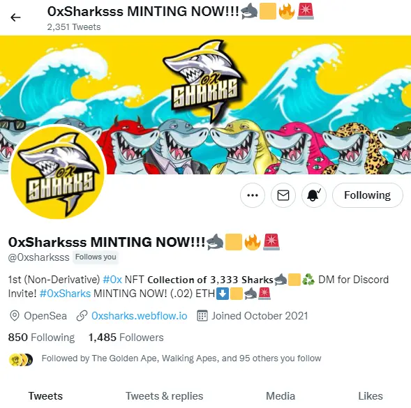 0x sharks twitter page