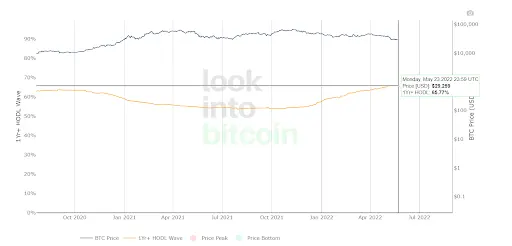 BTC Hold