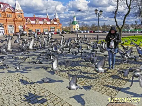 tourism and travel