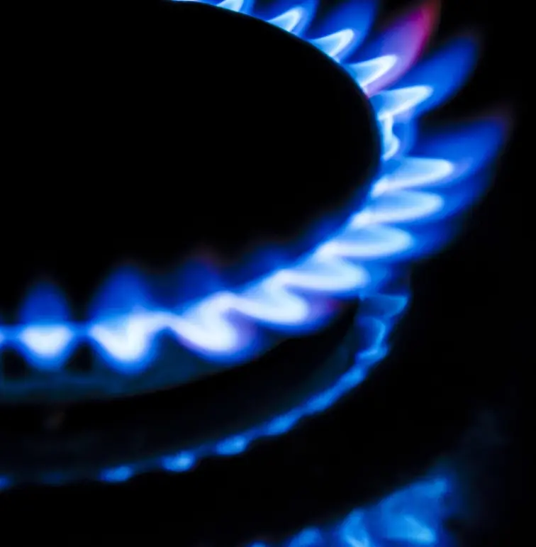 Gas Fee