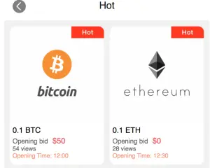 hot auctions