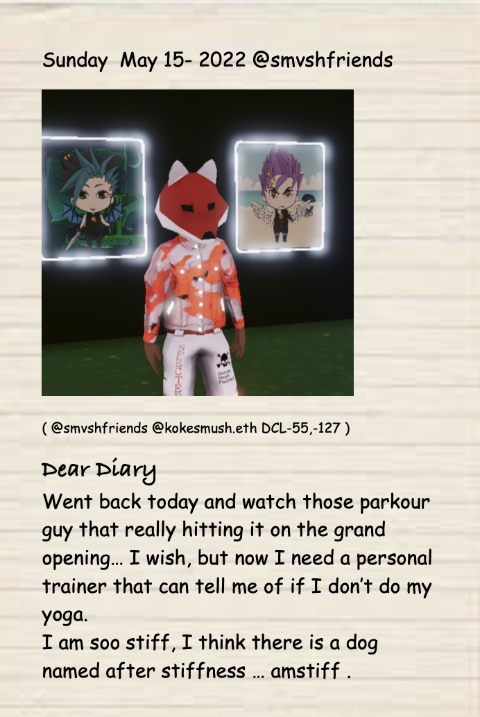 SurDegen in Metaverse