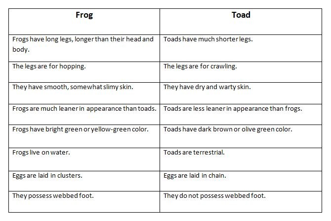 Difference between frogs and toads