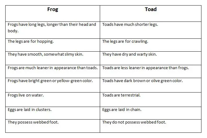 Difference between frogs and toads