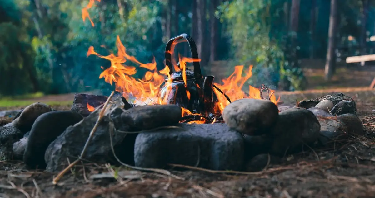 https://www.pexels.com/photo/wood-firewood-hot-smoke-10740532/