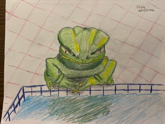 Drawing of an irritable frog sitting at edge of swimming pool - colored pencils