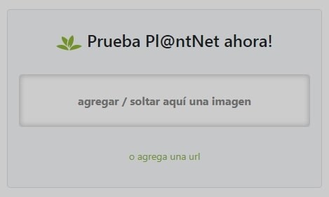 Seleccionar una imagen para analizar