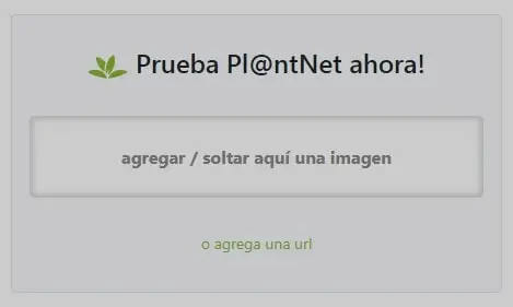 Seleccionar una imagen para analizar