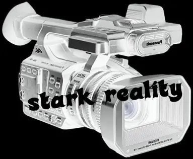 stark reality