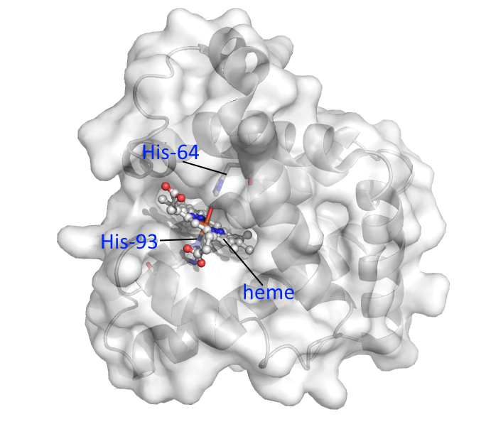 351665157-023a99f4aeacf03582b8ae1fb7559cb6ee1f0adf84cfbd309cf48c30a7cfdbdf.png