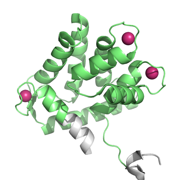351665157-d08ec438103f3733f0f82bd7bbdfa1ee96bb74fddd8d69995a4e538e17f7280b.png