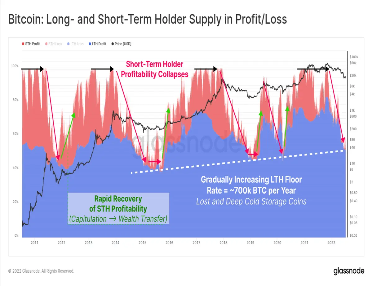 bitcoin short term holder profit