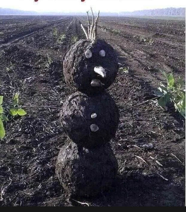 Merry Christmas !!!!!