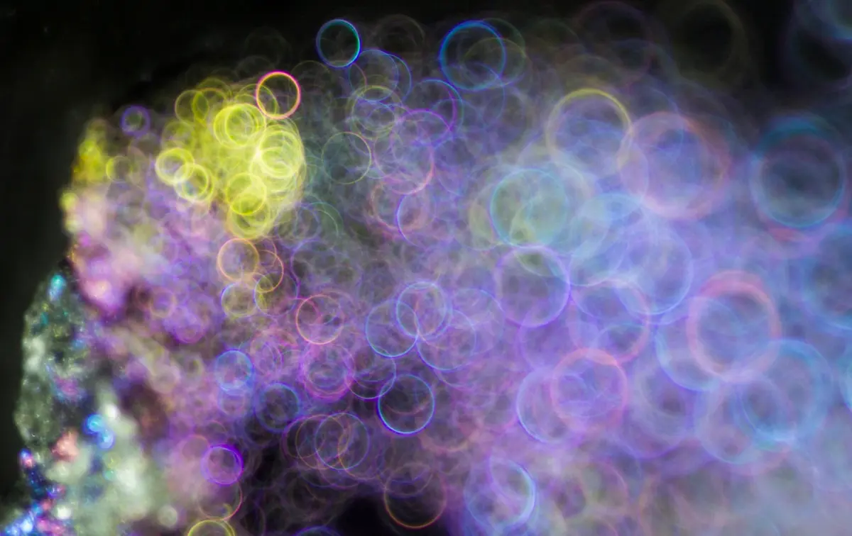 ee02eea5f50e026bc88414ccea28dc1be3cb94b18790d683bcf26c5c5c0fa0e8.png