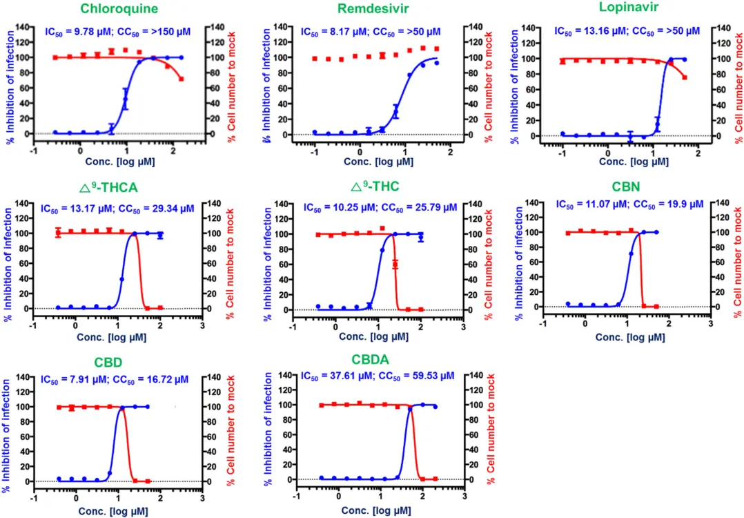 Dose-response curve analysis of three control drugs, lopinavir, chloroquine, and remdesivir, and the five CBDs, Δ9-THCA, Δ9-THC, CBN, CBD, and CBDA. The blue circles represent the inhibitory concentrations against SARS-CoV-2 infection (%) and the red squares represent Vero cell viability (%). Means ± SD was calculated from the results of duplicate experiments.